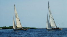 The Tall Ships' Races Baltic