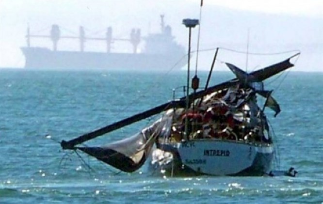 Dangerous fun of sea giants: why whales "jump" on yachts